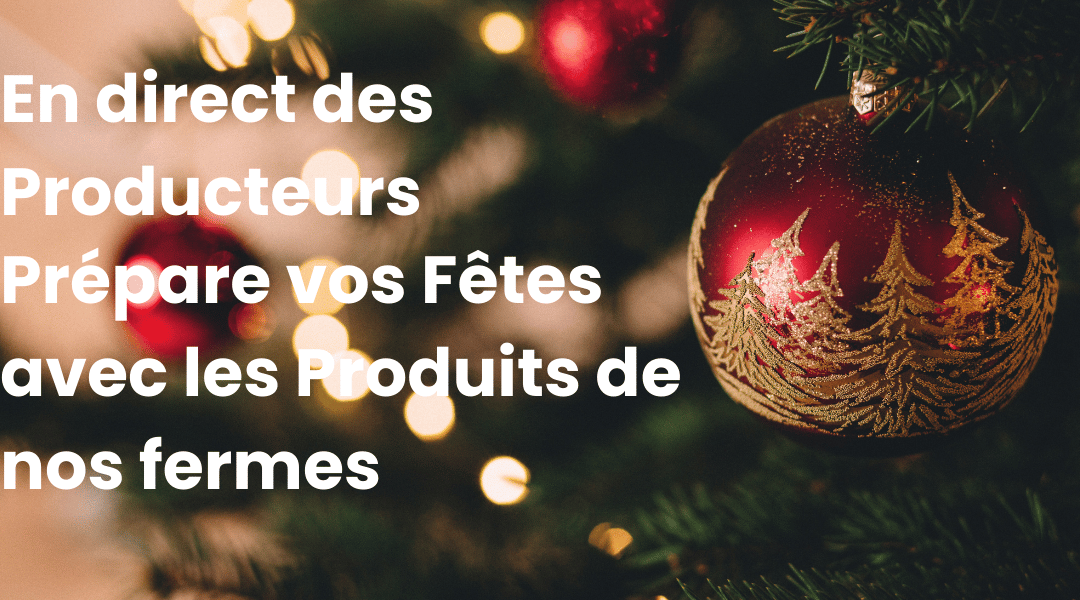 Les fêtes de fin d'année sont lancées !