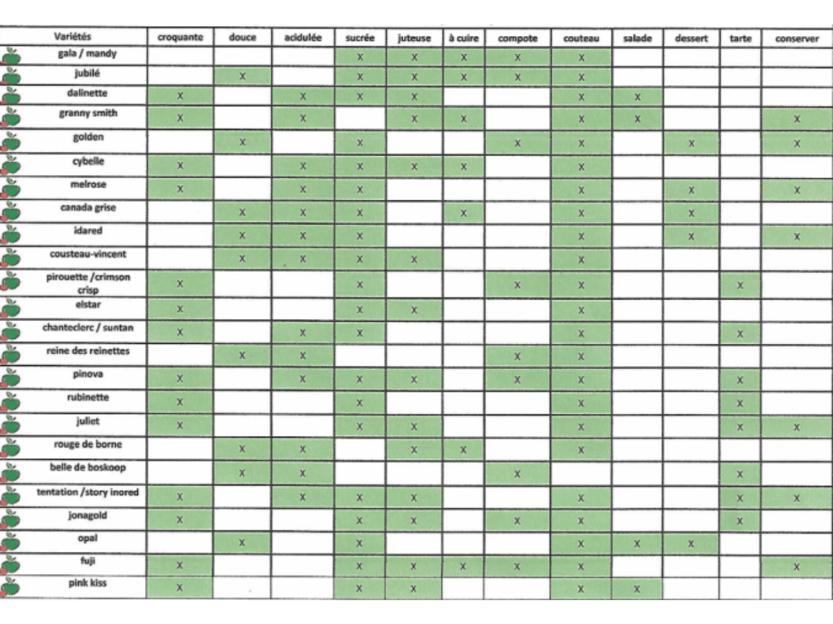 Nos  variétés de pommes BIO disponible à la cueillette au comptoir des pommes